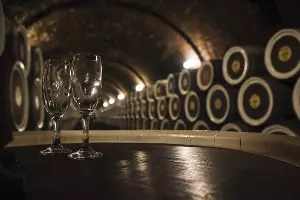  &copy;&nbsp;Фото Елены Синеок, Юга.ру