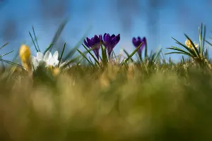  &copy;&nbsp;Фото Елены Синеок, Юга.ру