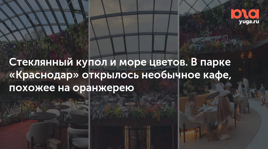 Стеклянный купол и море цветов. В парке «Краснодар» открылось необычное кафе, похожее на оранжерею