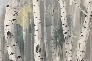  &copy;&nbsp;Скриншот фото из письма Краснодарского музея имени Коваленко