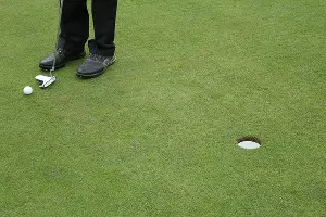  &copy;&nbsp;Фото с сайта pixabay.com