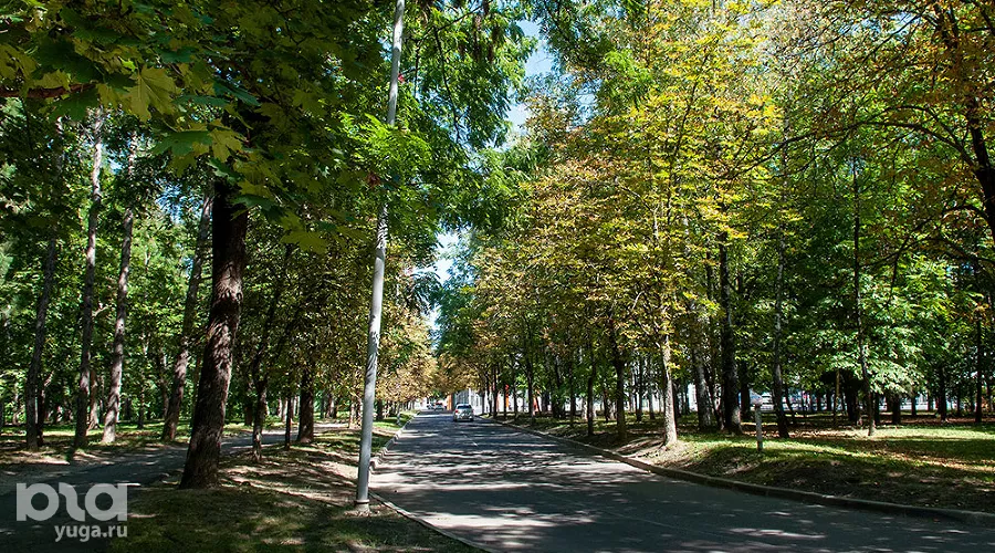  &copy;&nbsp;Фото Дмитрия Пославского, Юга.ру