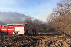  &copy;&nbsp;Фото пресс-службы администрации Сочи