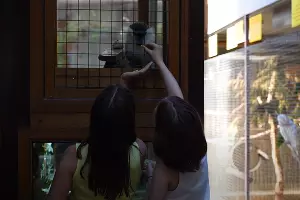  &copy;&nbsp;Скриншот видео с ютуб-канала Ильи Варламова, youtu.be/dkr6Dq-WIBE