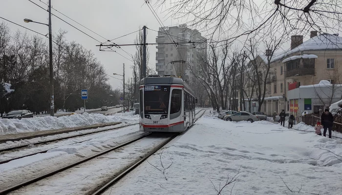 Зима в Краснодаре &copy;&nbsp;Фото Александры Прохоренковой-Аксеновой, Юга.ру