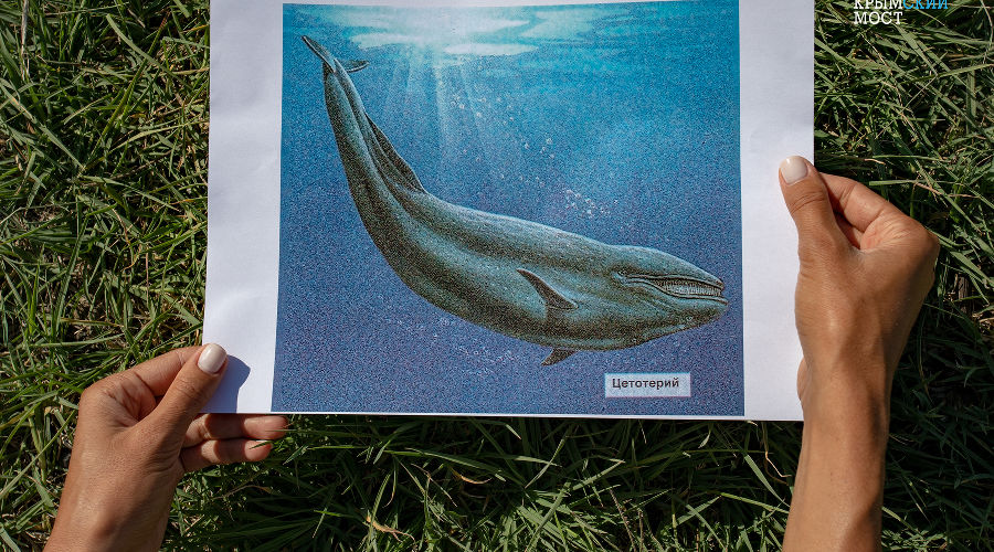  &copy;&nbsp;Фото инфоцентра &laquo;Крымский мост&raquo;