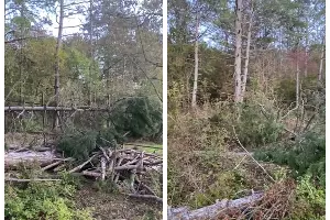  &copy;&nbsp;Скриншот из телеграм-канала &laquo;Супер Новости Новороссийска&raquo; https://t.me/novosti_novoross/78494