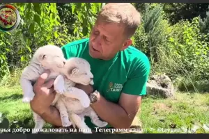  &copy;&nbsp;Скриншот из телеграм-канала &laquo;Парк Тайган&raquo; https://t.me/taygan_park/10265