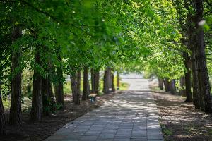  &copy;&nbsp;Фото Натальи Букреевой