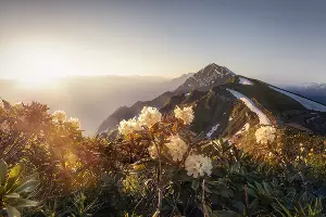  &copy;&nbsp;Фото пресс-службы &laquo;Роза Хутор&raquo;