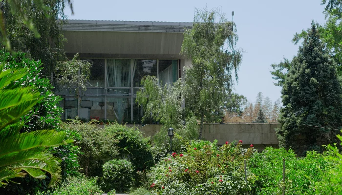 Сад-музей Дерева Дружбы в Сочи &copy;&nbsp;Фото Юли Шафаростовой, Юга.ру