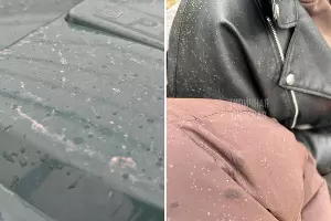  &copy;&nbsp;Коллаж из скриншотов фото из телеграм-каналов &laquo;Погода в Сочи&raquo; и &laquo;Типичная Динская&raquo;