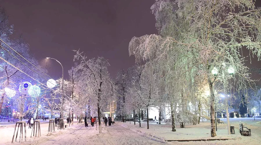 Снегопад в Краснодаре &copy;&nbsp;Фото Михаила Ступина, Юга.ру