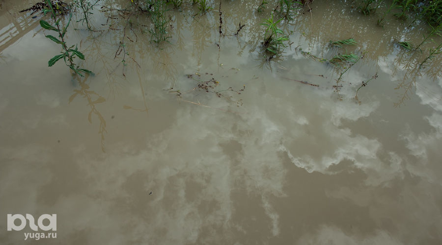  © Нина Зотина, ЮГА.ру