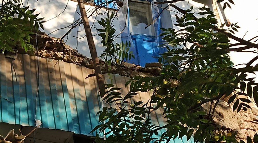  © Фото пресс-службы администрации Темрюкского района