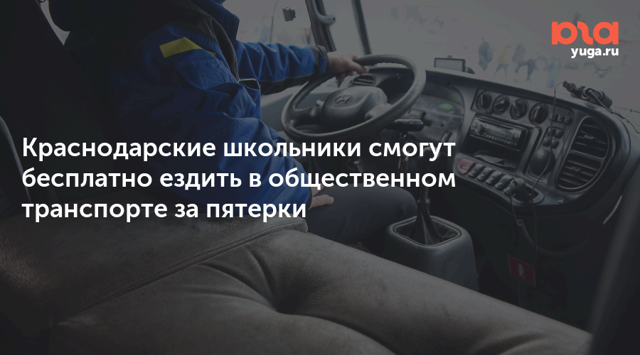 Перспективы расширения программы на другие области