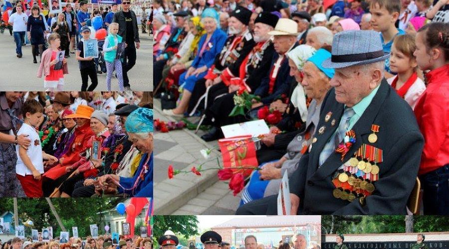  © Фото пресс-службы администрации Тбилисского района