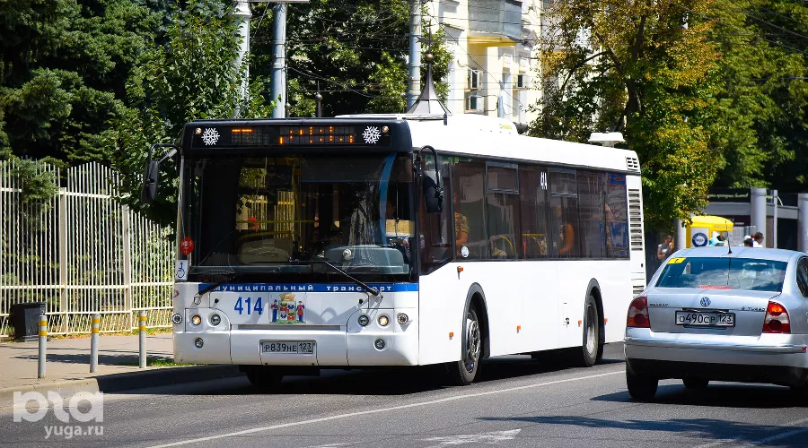  &copy;&nbsp;Фото Елены Синеок, Юга.ру