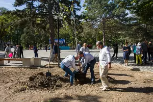 Парк имени Ивана Семыкина в станице Тбилисской &copy;&nbsp;Фото Евгения Мельченко, Юга.ру