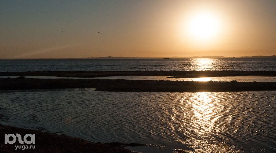  © Фото Елены Синеок, Юга.ру