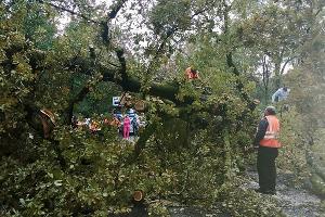  © Фото пресс-службы Упрдор «Черноморье»