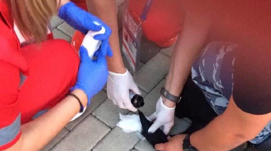  © Фото со страницы facebook.com/profile.php?id=100000518707927