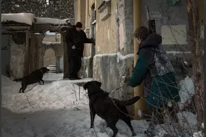  &copy;&nbsp;Скриншот из телеграм-канала краснодарского выставочного зала https://t.me/artzal23/1939