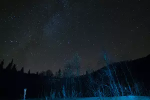  &copy;&nbsp;Фото Елены Синеок, Юга.ру