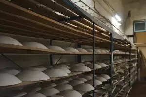  &copy;&nbsp;Фото Максима Соколовского, предоставлено пресс-службой Юго-Западного Сбербанка