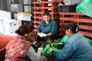 Проект &laquo;Верь в себя&raquo; по профориентации подростков &copy;&nbsp;Фото Елены Синеок, Юга.ру