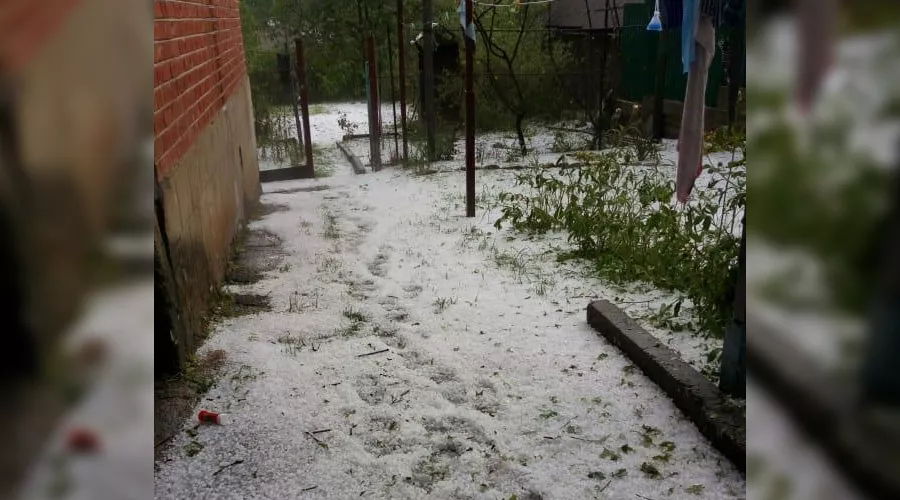  &copy;&nbsp;Фото пресс-службы администрации Майкопского района