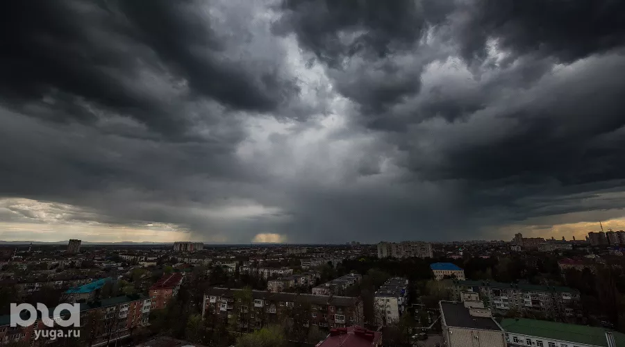  &copy;&nbsp;Фото Елены Синеок, Юга.ру