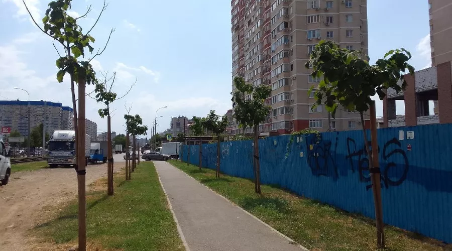  &copy;&nbsp;Фотографию Юга.ру предоставила Яна Антонова