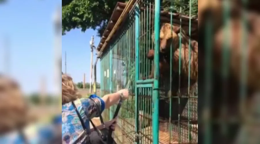  &copy;&nbsp;Кадр из видео с сайта russian.rt.com