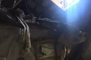  &copy;&nbsp;Фото Ольги Пеленцовой, instagram.com/typodar/ypodar/