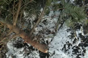  &copy;&nbsp;Фото пресс-службы ГУ МВД России по Краснодарскому краю