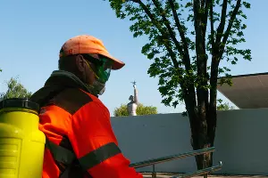 Дезинфекция общественных пространств в Краснодаре &copy;&nbsp;Фото Дмитрия Леснова, Юга.ру