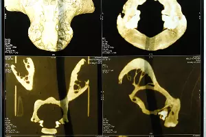 "Музей снежного человека" в Адыгее &copy;&nbsp;Влад Александров, ЮГА.ру