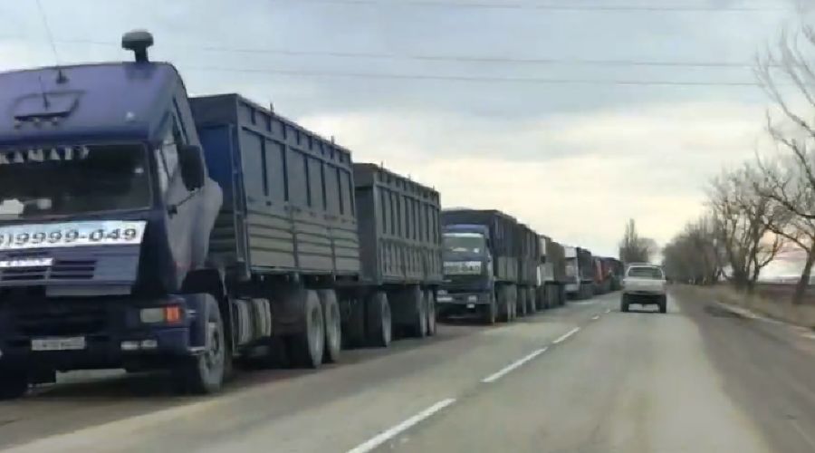 На трассе в Темрюкском районе скопилось более 400 грузовиков из-за остановки зернового терминала © Фото пресс-службы администрации Темрюкского района