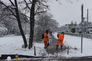 Снег в Краснодаре &copy;&nbsp;Фото Елены Синеок, Юга.ру