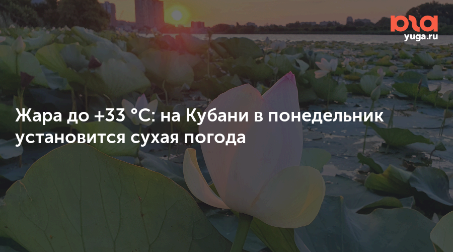Жара до +33 °C: на Кубани в понедельник установится сухая погода