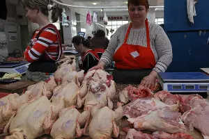  &copy;&nbsp;Фото Влада Александрова, Юга.ру