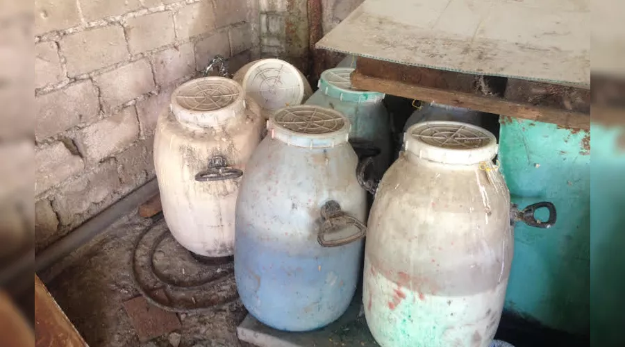  &copy;&nbsp;Фото пресс-службы администрации Сочи