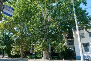  &copy;&nbsp;Фото Дмитрия Пославского, Юга.ру