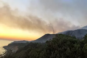 Пожар в заповеднике «Утриш» &copy;&nbsp;Фото Виталия Кавтарадзе