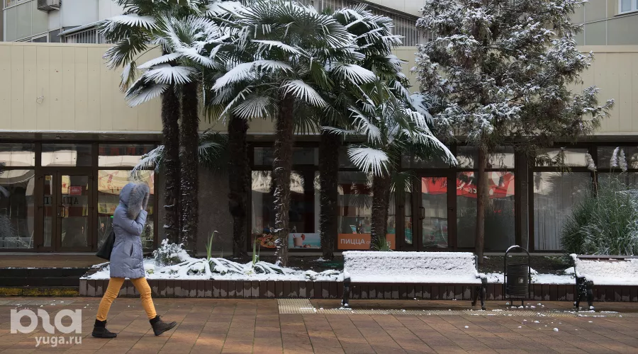 Снег в Сочи &copy;&nbsp;Фото Нины Зотиной, Юга.ру