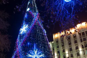 Новогодняя елка перед зданием Администрации Краснодарского края &copy;&nbsp;Елена Синеок, ЮГА.ру