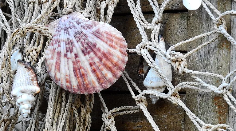  &copy;&nbsp;фото с сайта pixabay.com