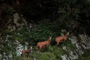  &copy;&nbsp;Фото пресс-службы &laquo;Курорта Красная Поляна&raquo;