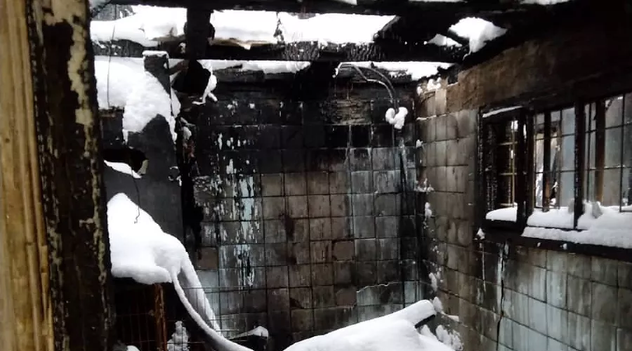  &copy;&nbsp;Фото со страницы instagram.com/koshkin_dom_krasnodar